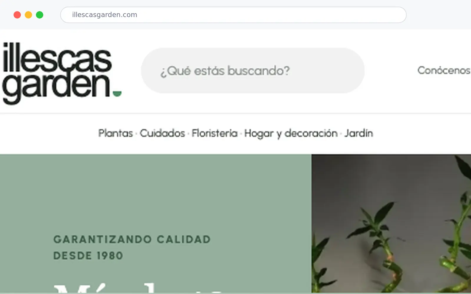 proyecto-illescas-mac Illescas Garden